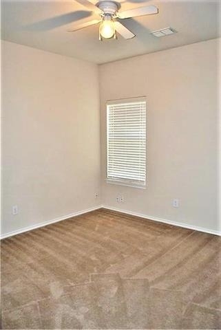 106 Old Glory Lane - Photo 14