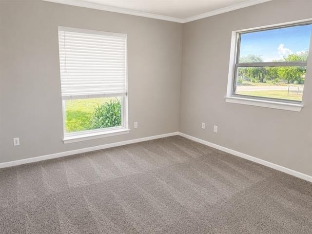 151 Chestnut Street - Photo 5