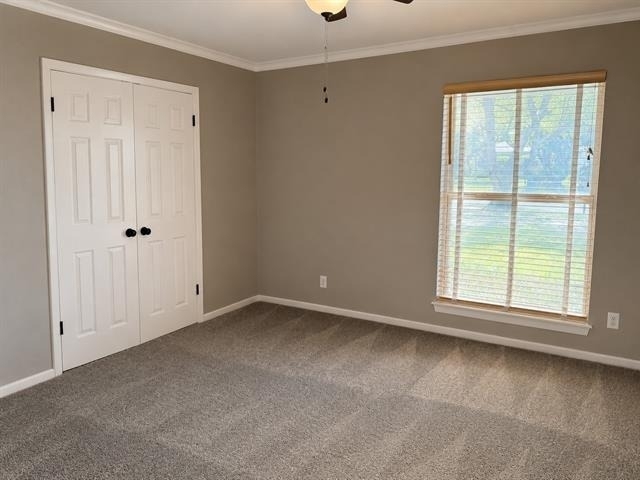 151 Chestnut Street - Photo 7