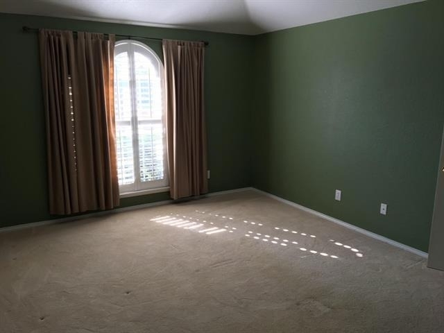 7309 Caruth Drive - Photo 13
