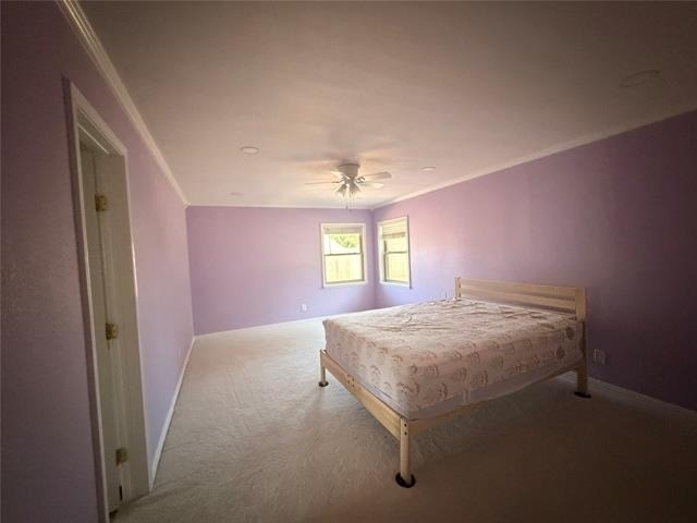 3709 Pinewood Street - Photo 13