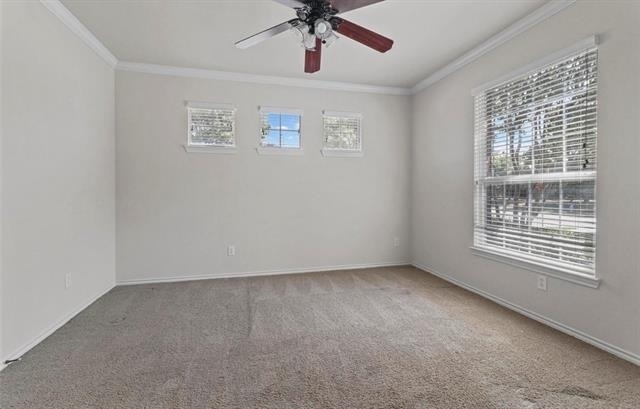 9669 Plains Circle - Photo 27