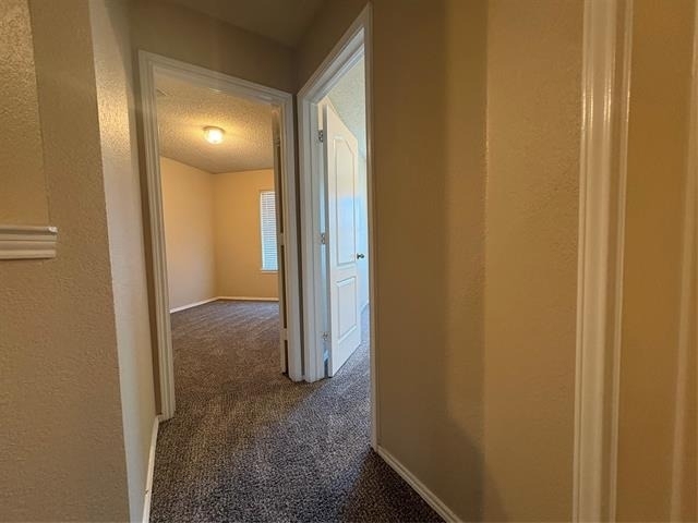 5744 Giddyup Lane - Photo 37