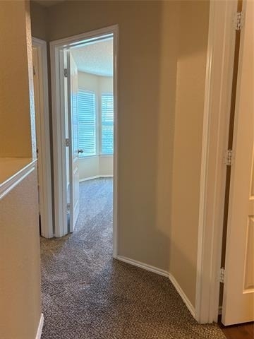 5744 Giddyup Lane - Photo 19