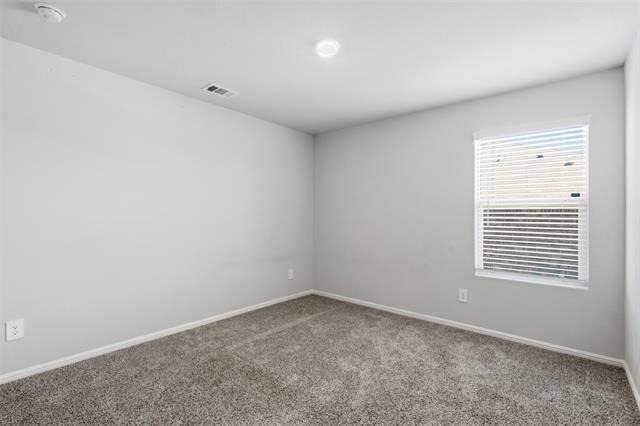13504 Gunsmoke Lane - Photo 19