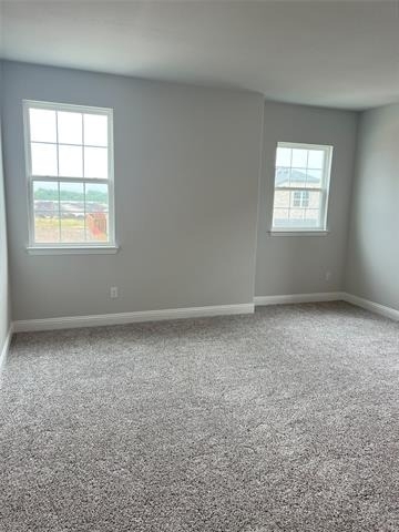 3010 Camilli Cove - Photo 11