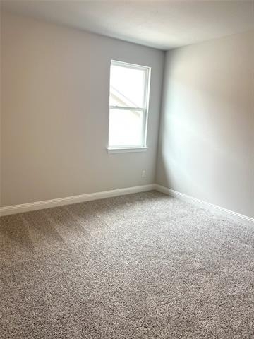 3010 Camilli Cove - Photo 15