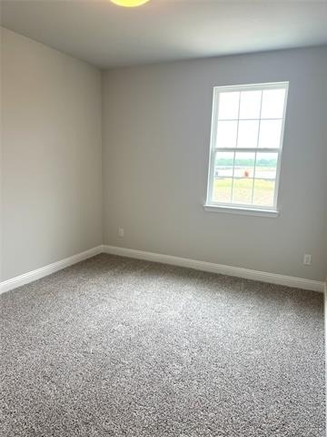 3010 Camilli Cove - Photo 16