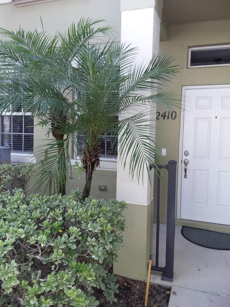 2410 Se Union Park Drive - Photo 1