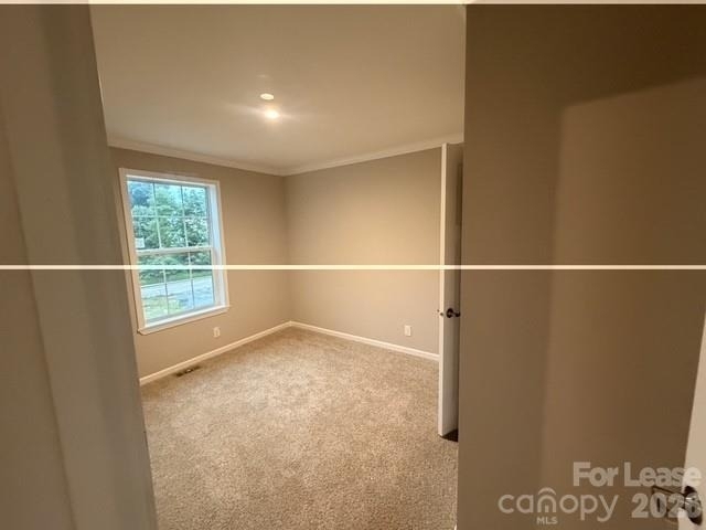 87 Gravel Hill Court - Photo 9
