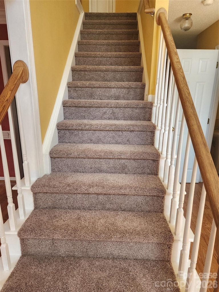 2411 Celosia Drive - Photo 3