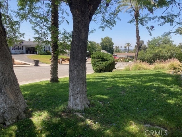 515 Alta Mesa - Photo 1