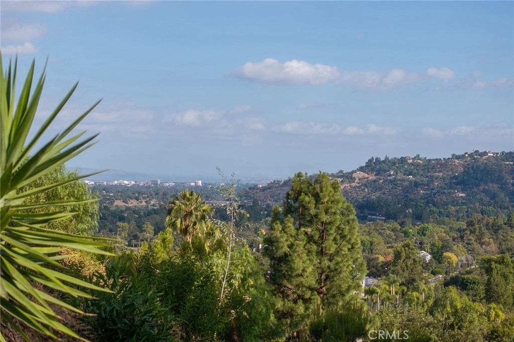 516 Venado Vista - Photo 36