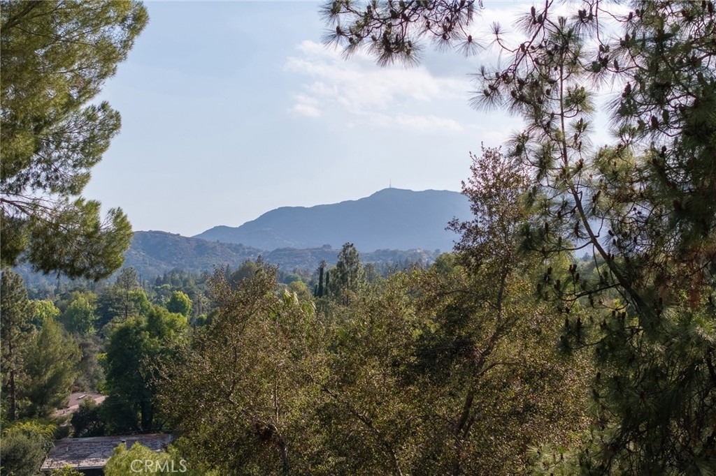 516 Venado Vista - Photo 37