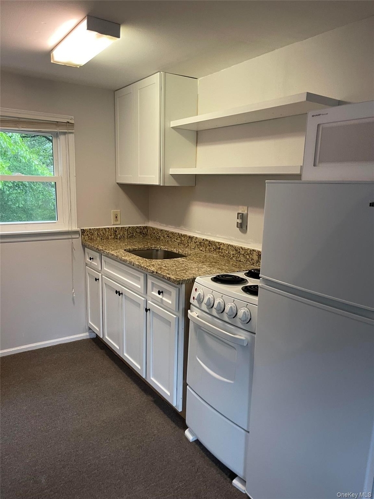 206 Dickinson Avenue - Photo 1