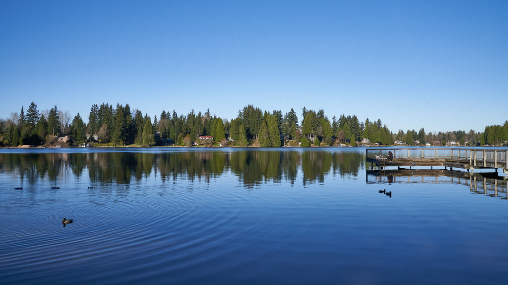 16619 Larch Way - Photo 31