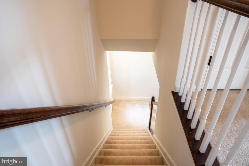 42243 Canary Grass Square - Photo 42