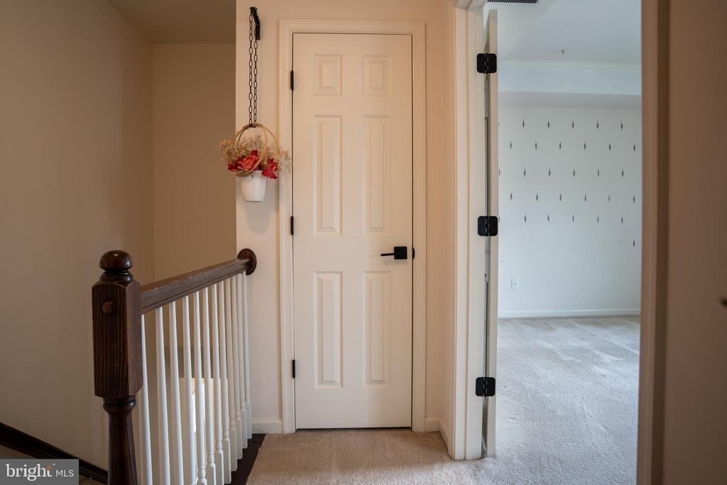 42243 Canary Grass Square - Photo 43