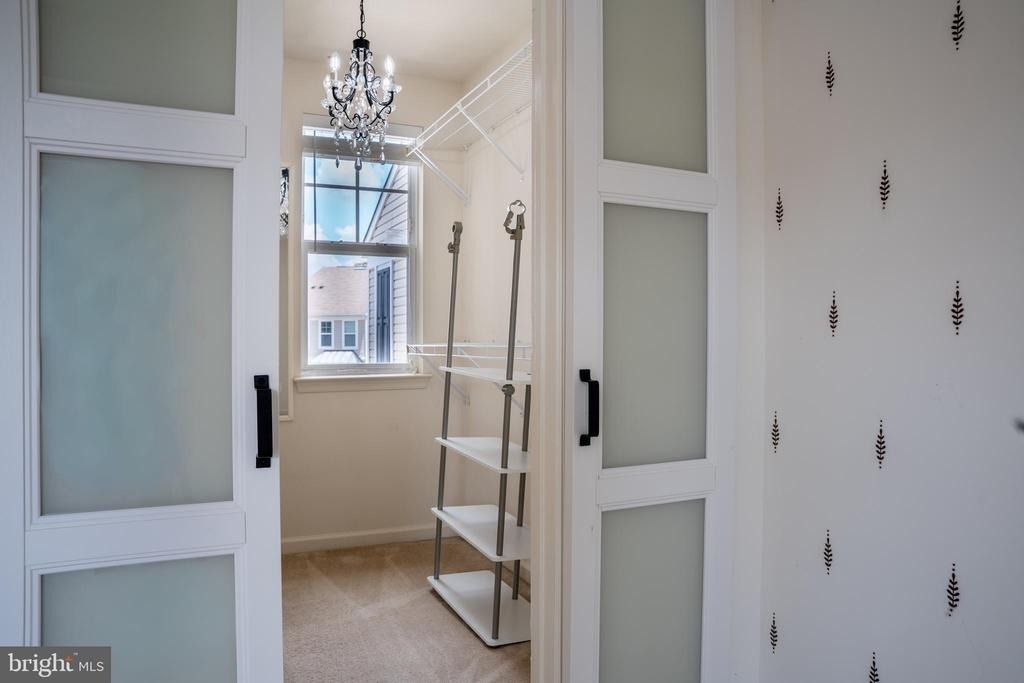 42243 Canary Grass Square - Photo 53