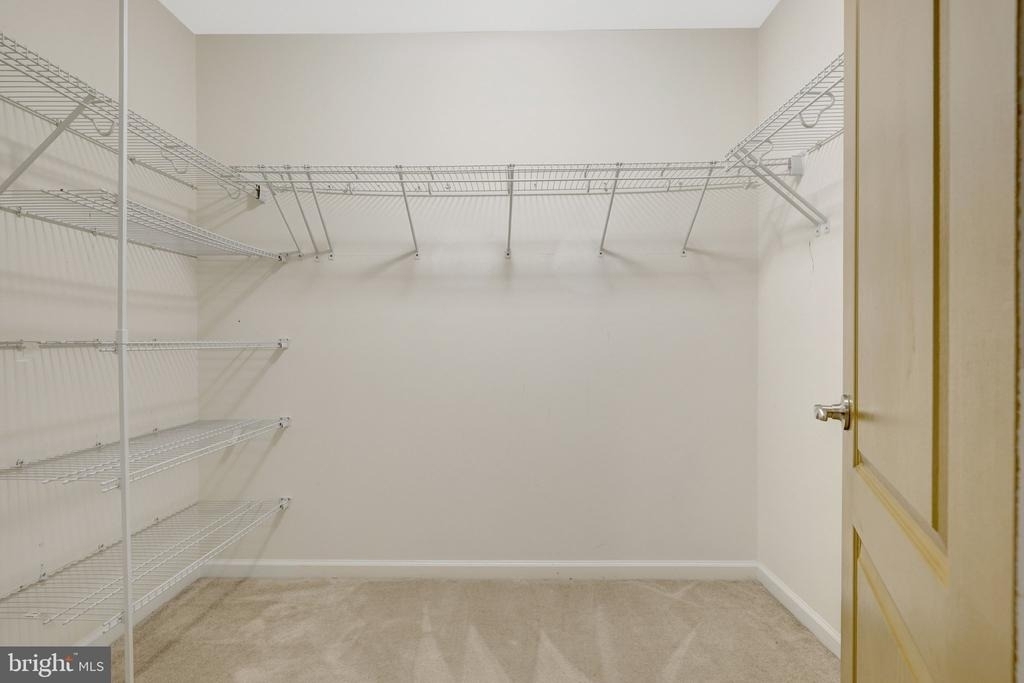 21236 Lady Fern Place - Photo 54