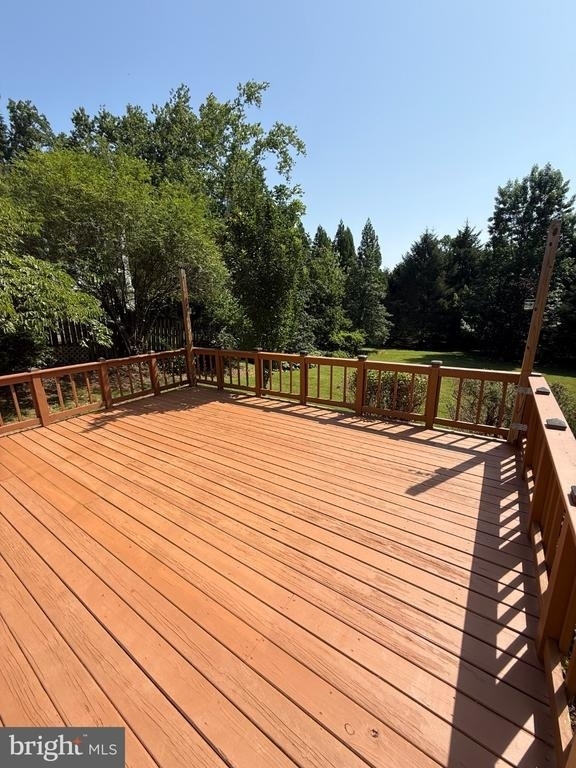 1131 Marion Avenue - Photo 10