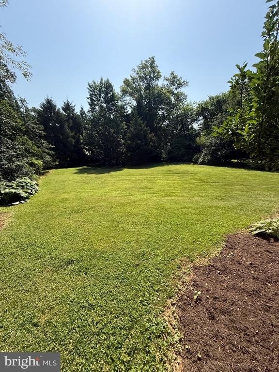 1131 Marion Avenue - Photo 11