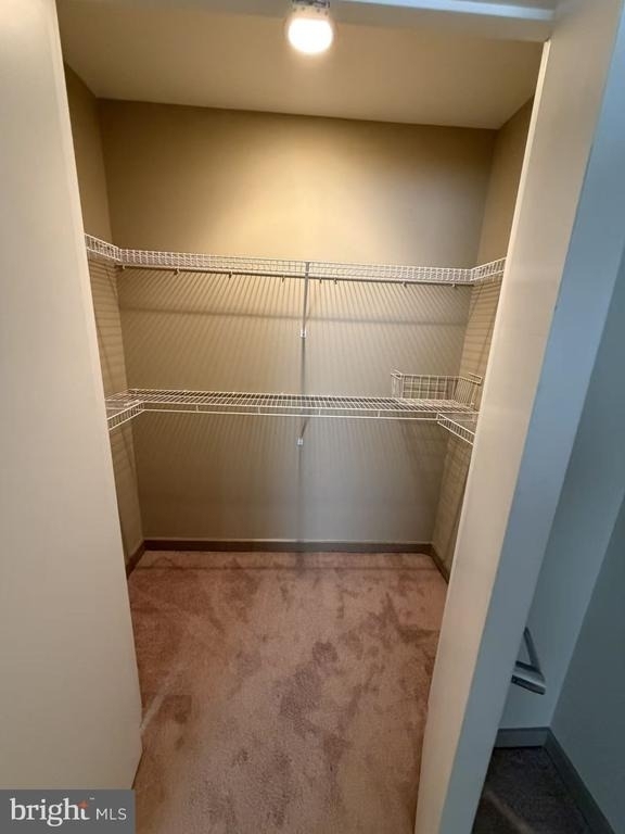 815 Arch Street - Photo 11