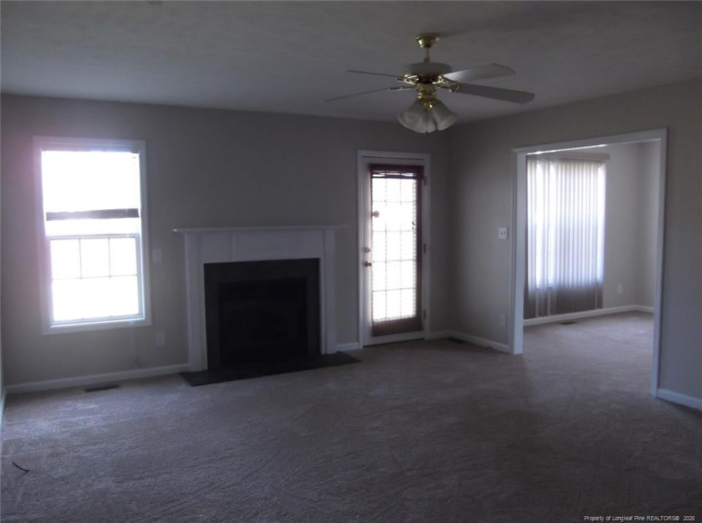 2937 Piney Mountain Drive - Photo 3
