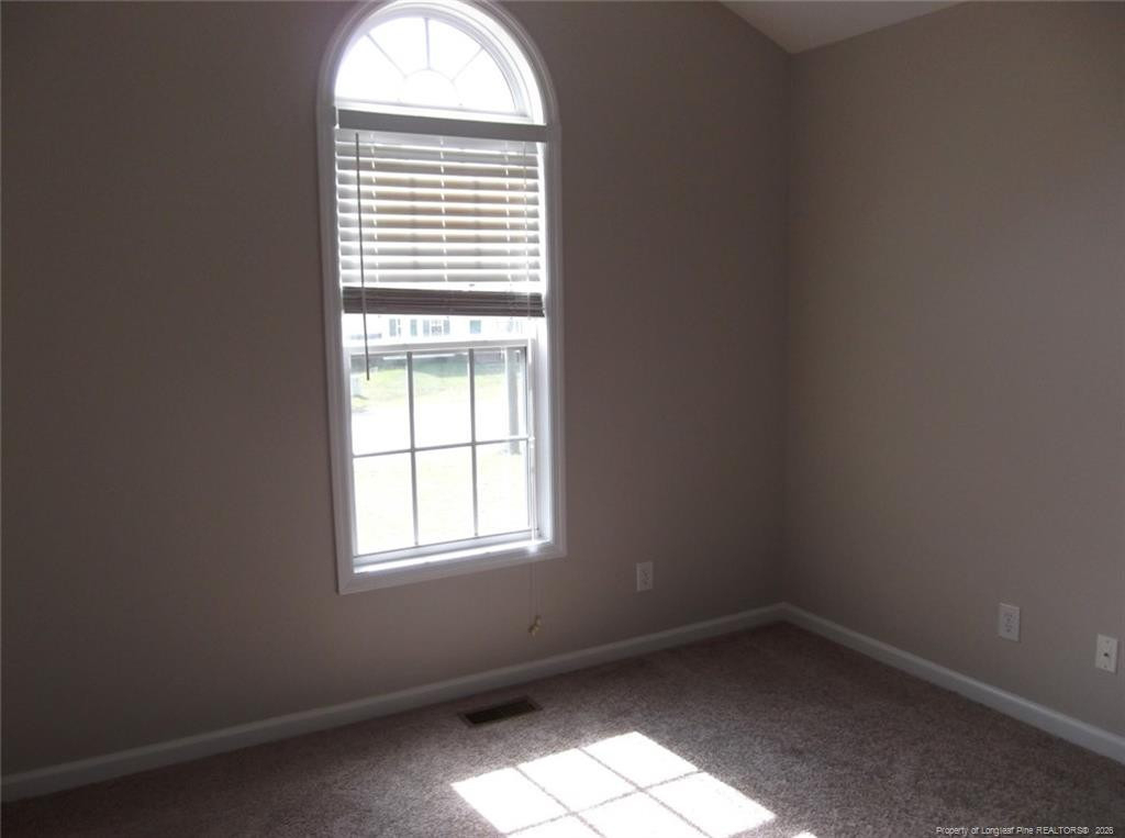 2937 Piney Mountain Drive - Photo 13