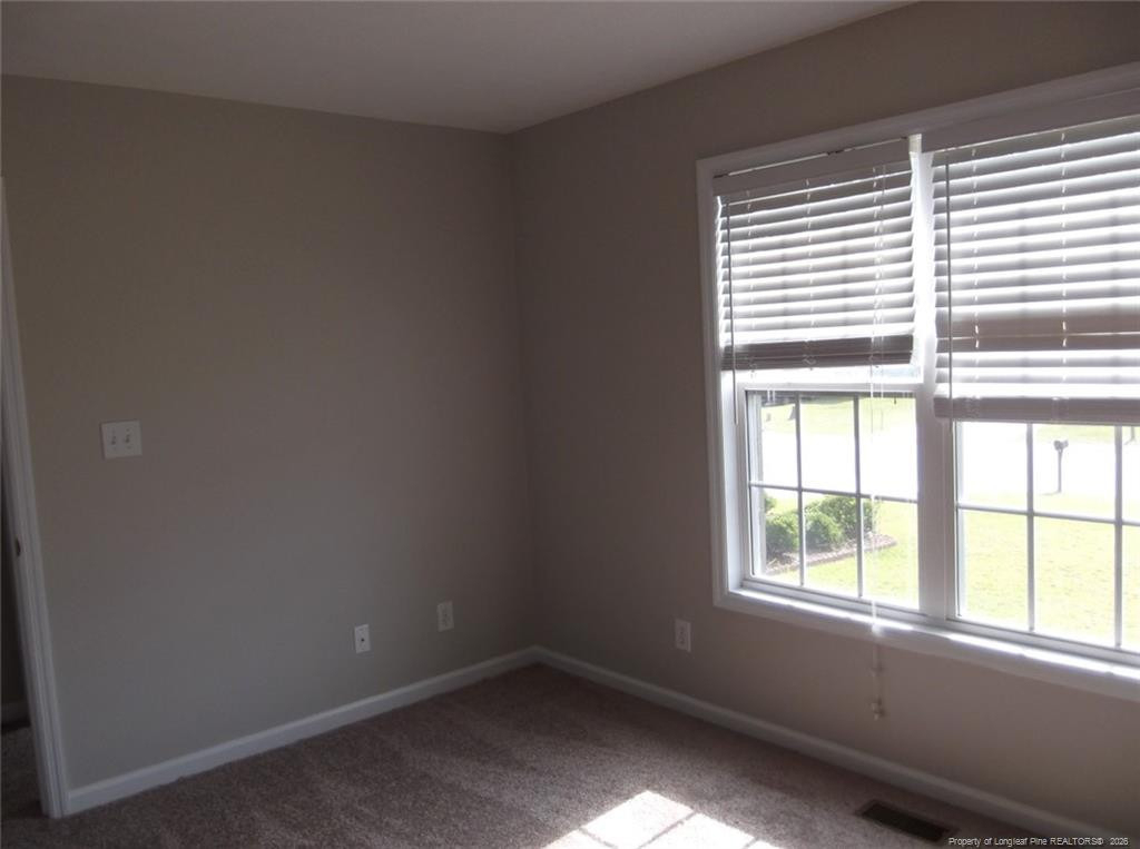 2937 Piney Mountain Drive - Photo 14