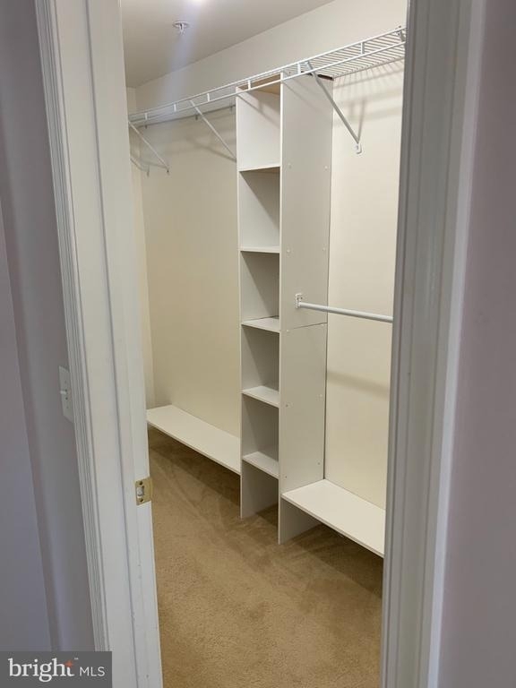 110 Lionheart Lane - Photo 15