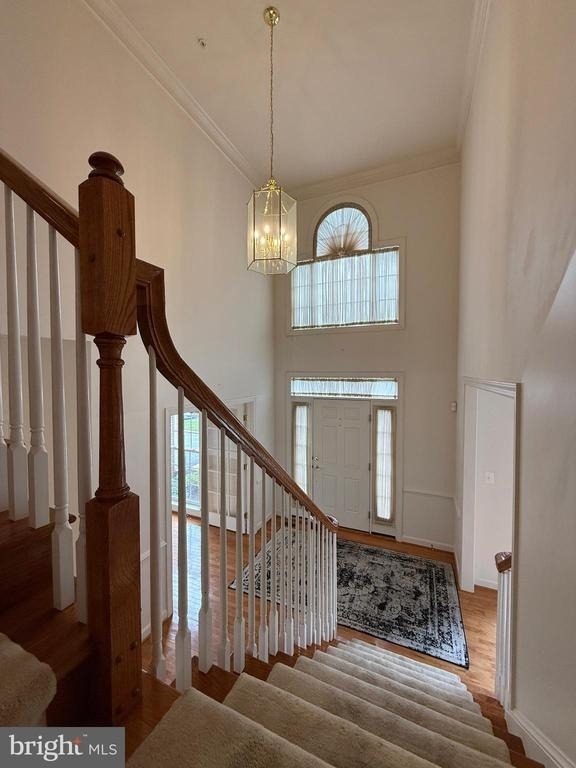 4415 Medallion Drive - Photo 25