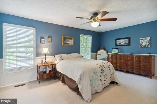 29 Teal Court - Photo 15