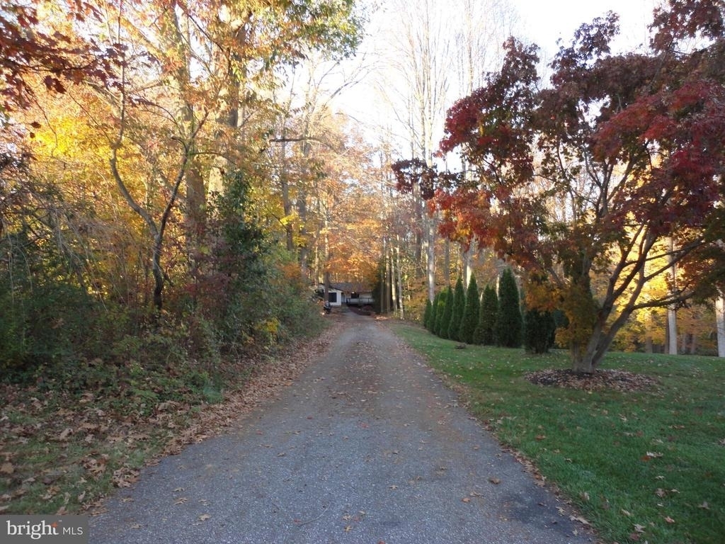 814 Rustic Lane - Photo 11