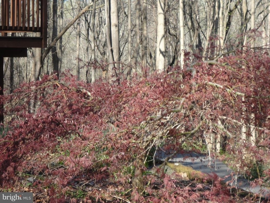 814 Rustic Lane - Photo 12