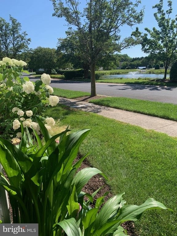 33718 Chatham Way - Photo 42