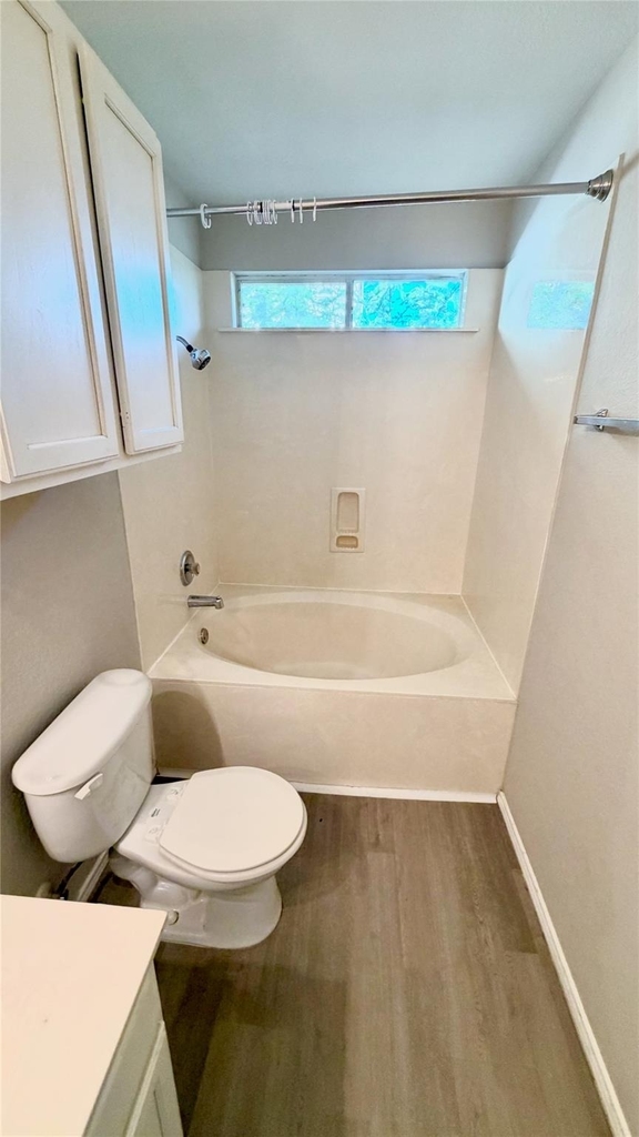12333 Paloma Blanca Way - Photo 14