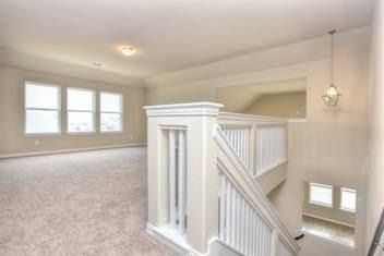 917 Swan Flower St - Photo 31