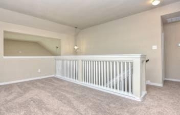 917 Swan Flower St - Photo 21