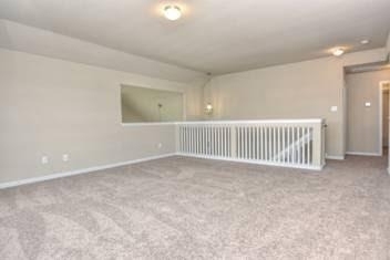 917 Swan Flower St - Photo 22