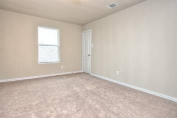 917 Swan Flower St - Photo 30