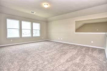 917 Swan Flower St - Photo 19