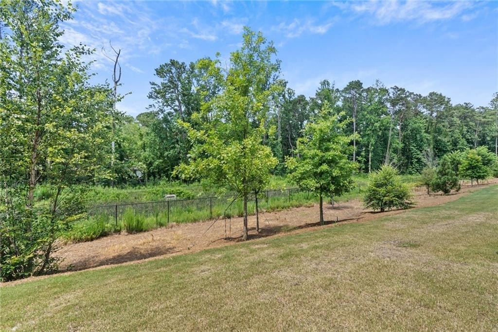 79 Werner Brook Way Sw - Photo 26
