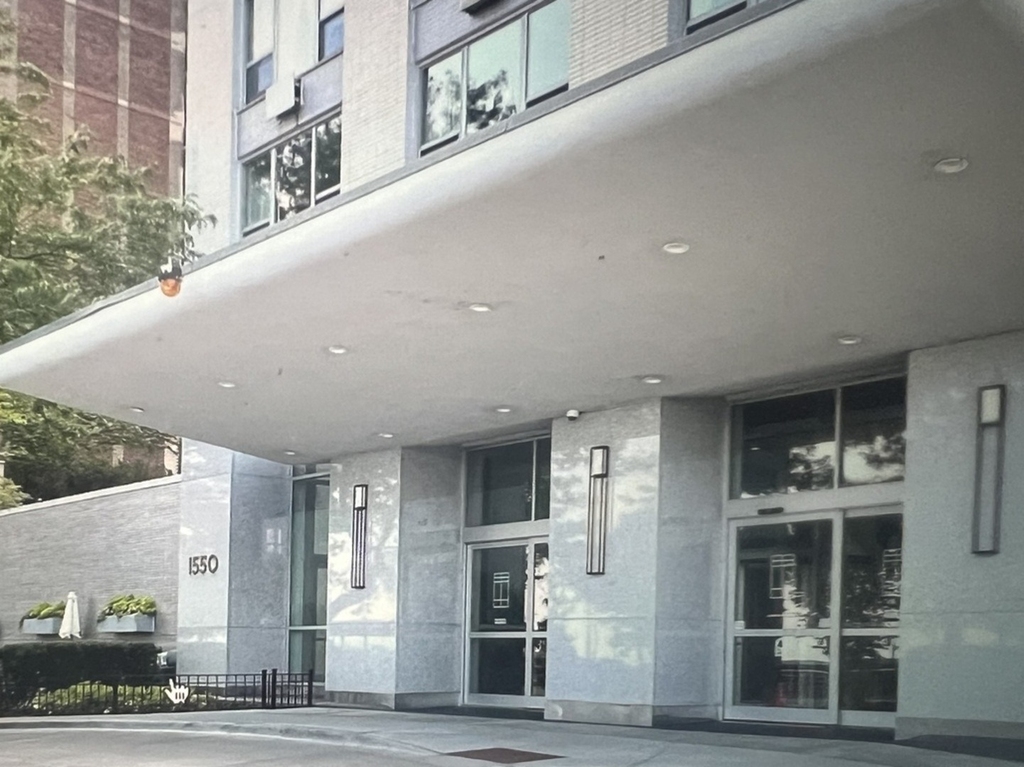 1550 N Lake Shore Drive - Photo 3