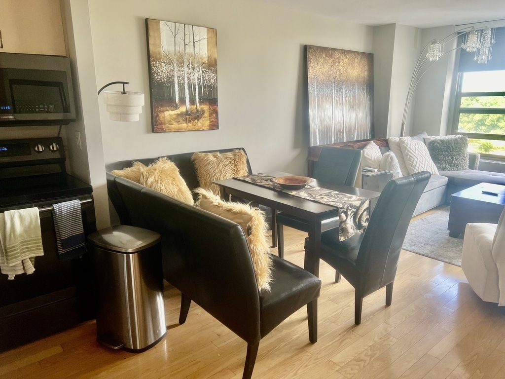 1550 N Lake Shore Drive - Photo 10