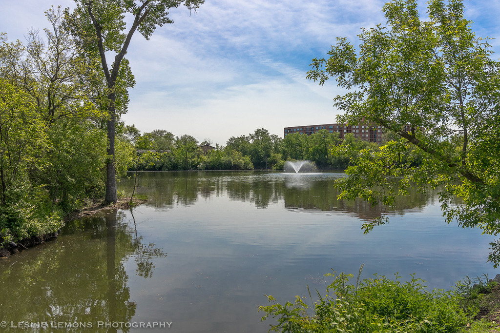 6004 E Lake Drive - Photo 25