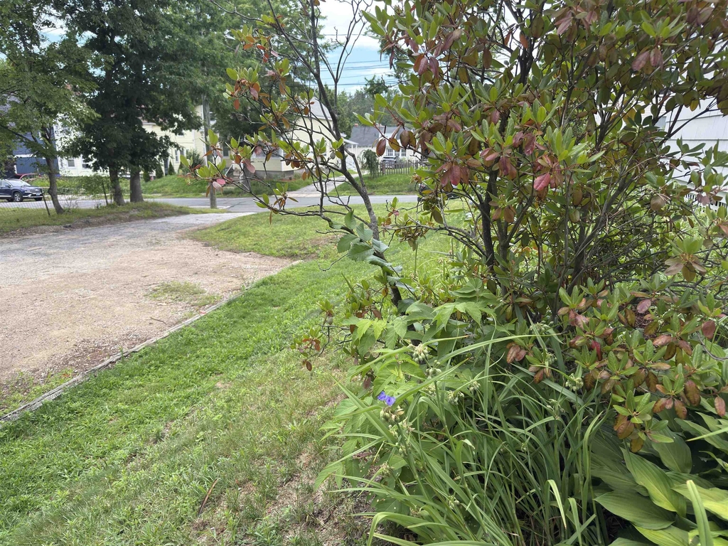 573 Spruce - Photo 24