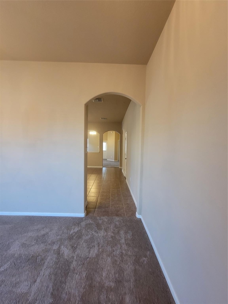 4238 Barossa Valley Lane - Photo 4