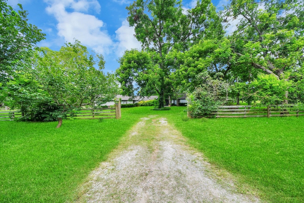 4126 Pecan Bend Drive - Photo 3