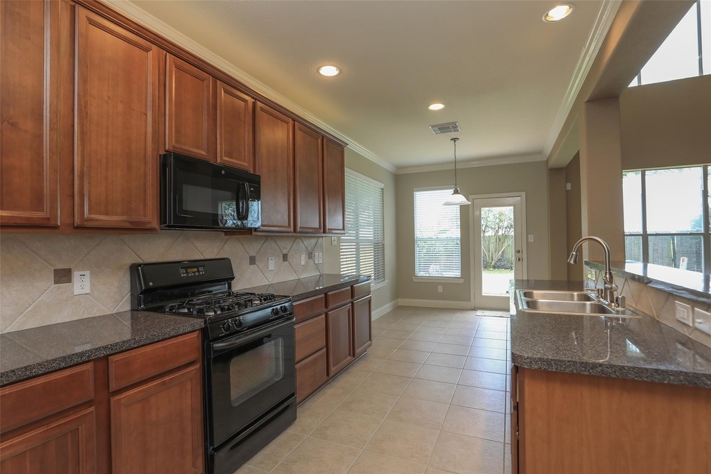 9603 Red Rugossa Drive - Photo 9